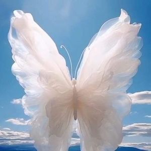 Meet your Posher, Luann